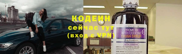 ешки Бородино