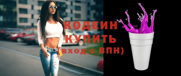 ешки Бородино