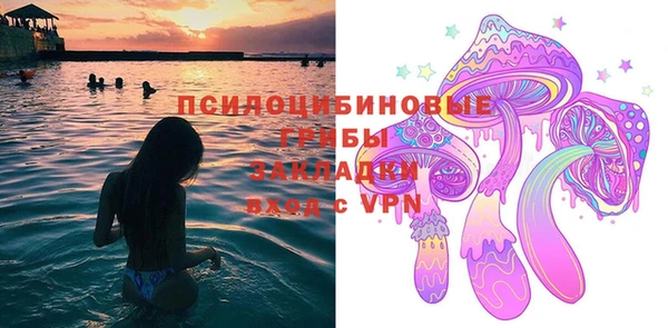 ешки Бородино