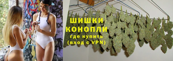 ешки Бородино