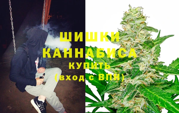 ешки Бородино