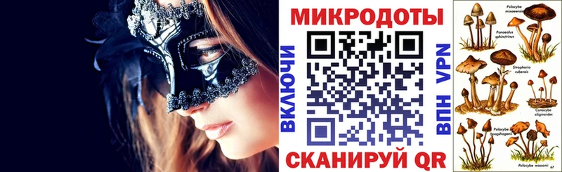 что такое наркотик  Чернушка  Псилоцибиновые грибы ЛСД 